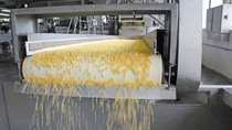 Corn processing factory, food industry; Shutterstock ID 159894719; PO: TPU