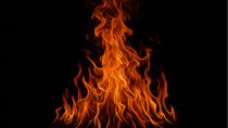 Bright flames rising against a black background. 