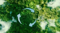 Forest with Recycling Symbol  Forest with Recycling Symbol