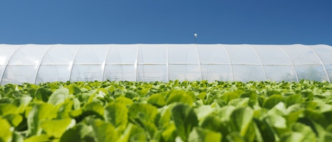 Tinuvin - light stability for multiple applications as for example greenhouse films Tinuvin - light stability for multiple applications as for example greenhouse films