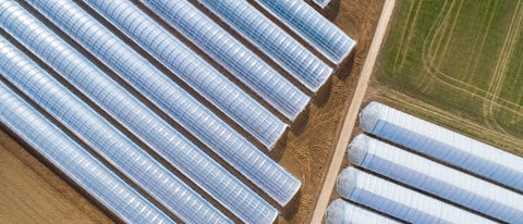 Abstract agricultural area - early vegetable cultivation, aerial view