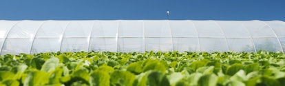 Tinuvin - light stability for multiple applications as for example greenhouse films