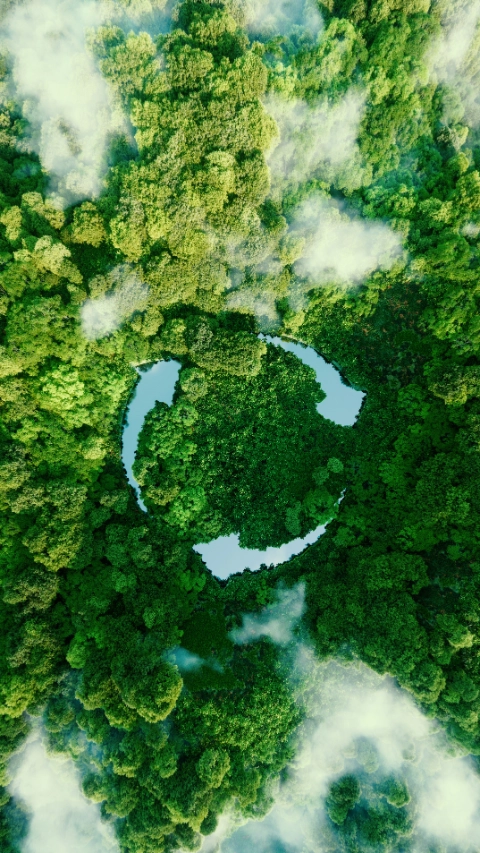 Image of a forest with recycling sign Image of a forest with recycling sign