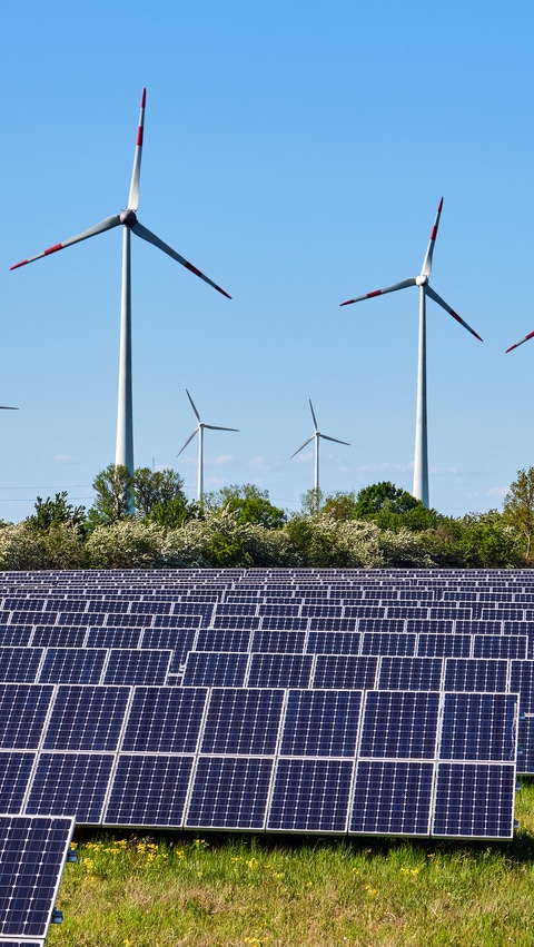 Renewable energy solutions powered by wind and solar energy, supporting a more sustainable and low-carbon future.