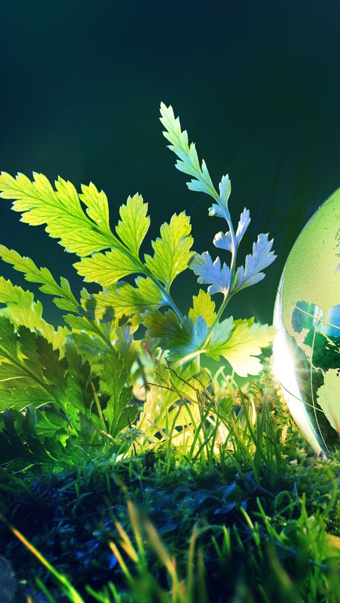 Crystal Planet In Green Forest With Sun