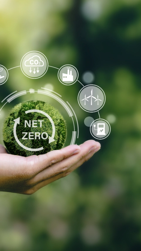 net zero