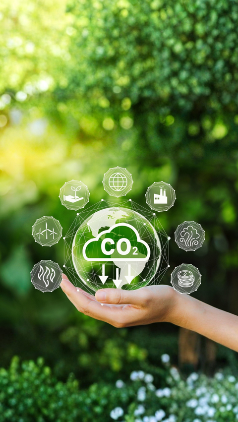 Image of a hand in front of green leaves holding a CO2-bubble 