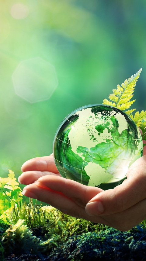Hands Holding Globe Glass In Green Forest - Environment Concept
