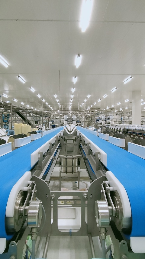 Industrial food processing facility with parallel blue conveyor belts and automated production equipment.